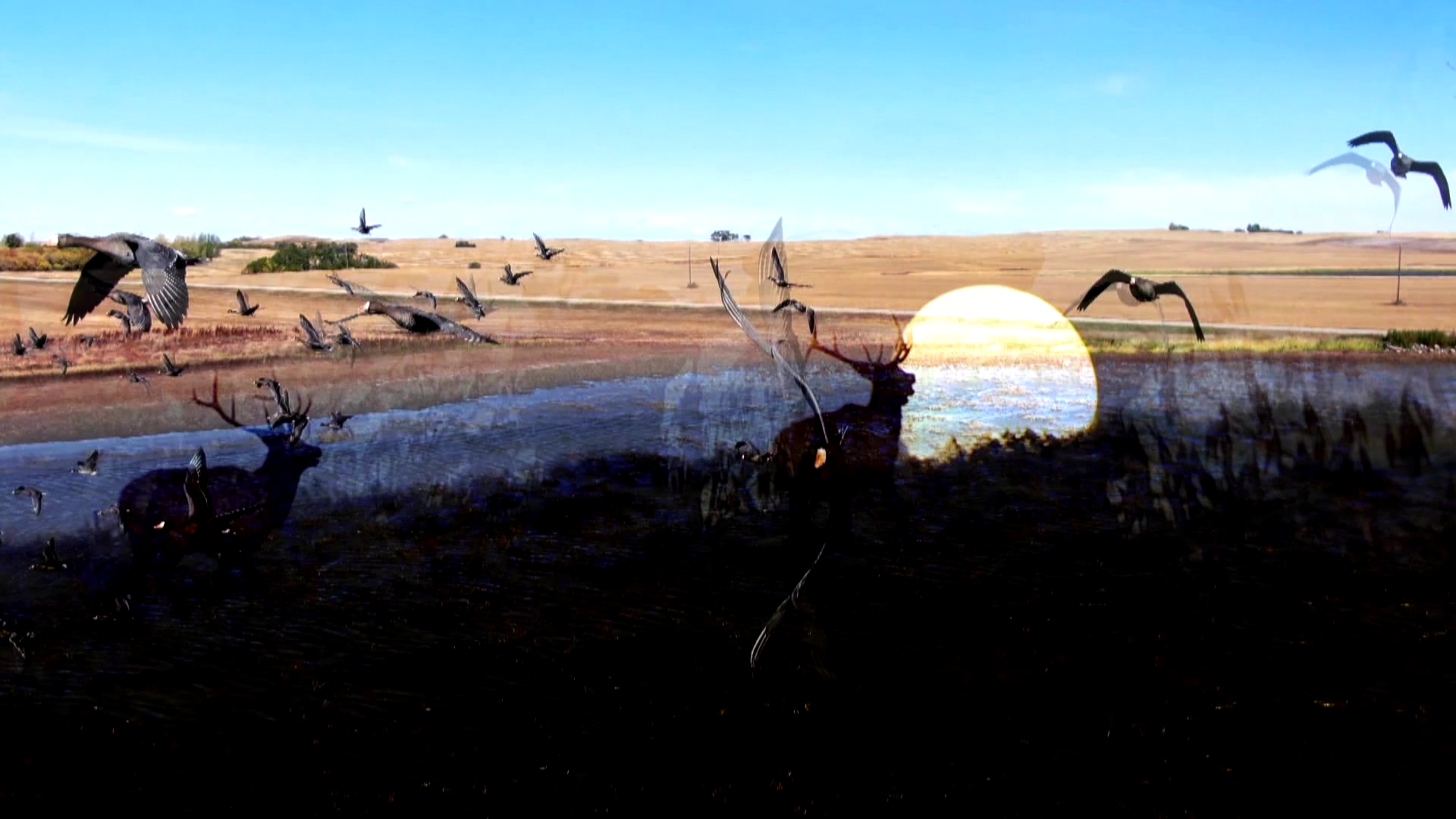 Massive Cape Buffalo of Tanzania episode thumbnail