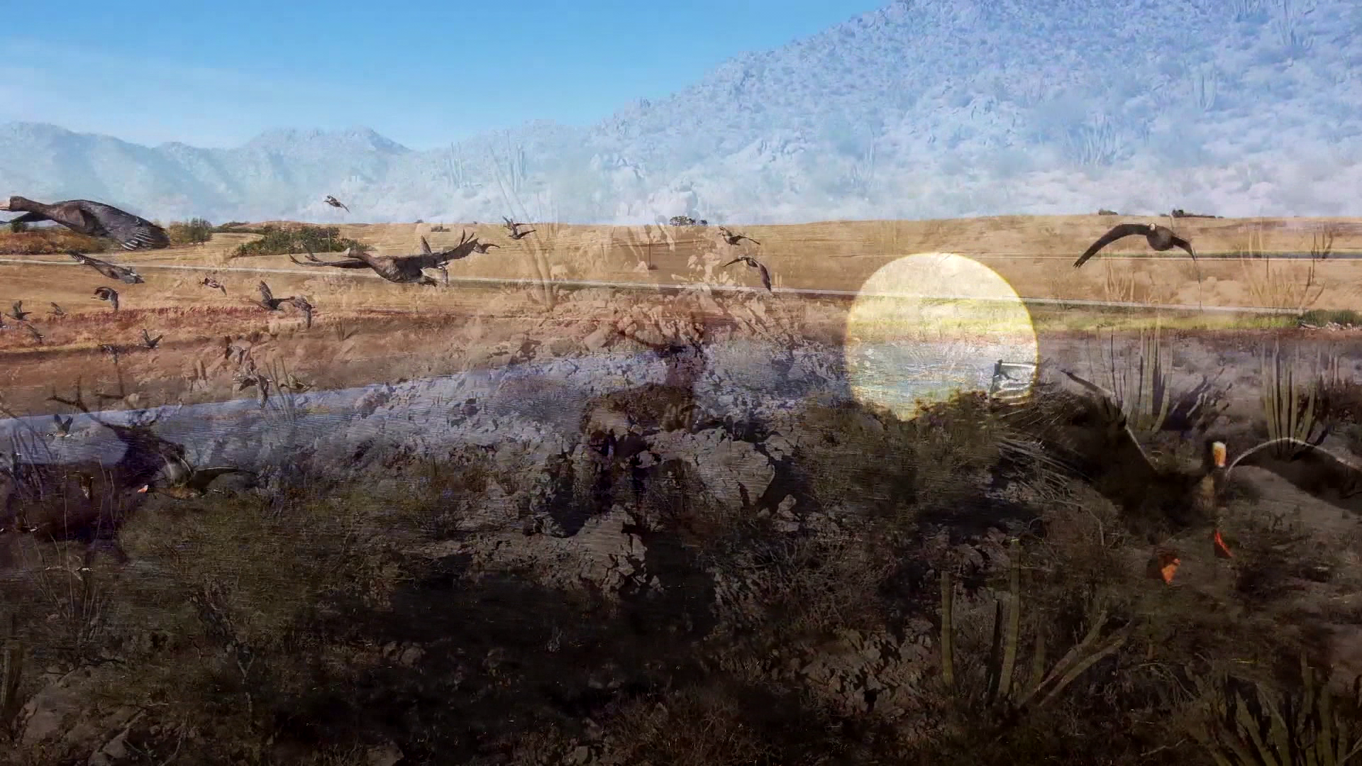 Waterfowl Hunters Dream episode thumbnail