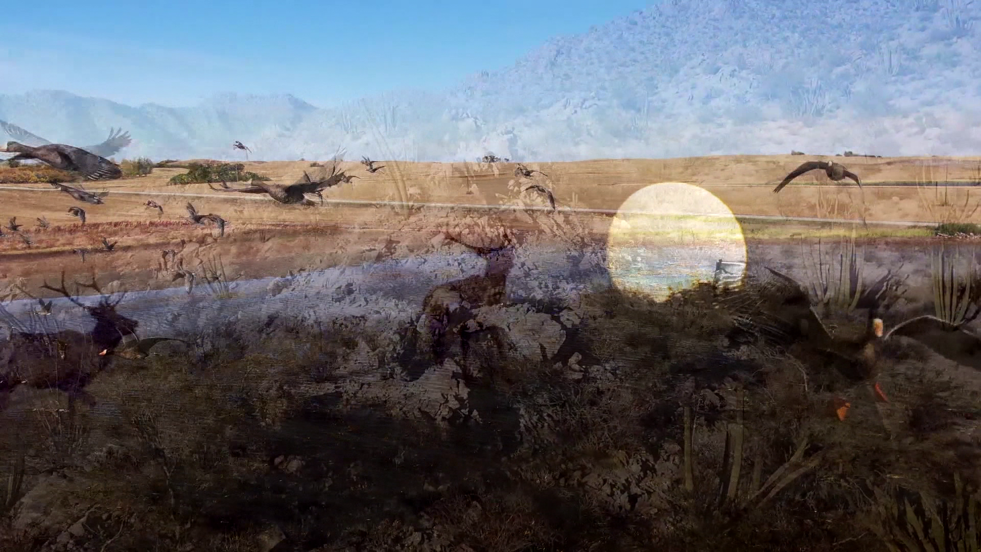 The Quail Keepers episode thumbnail