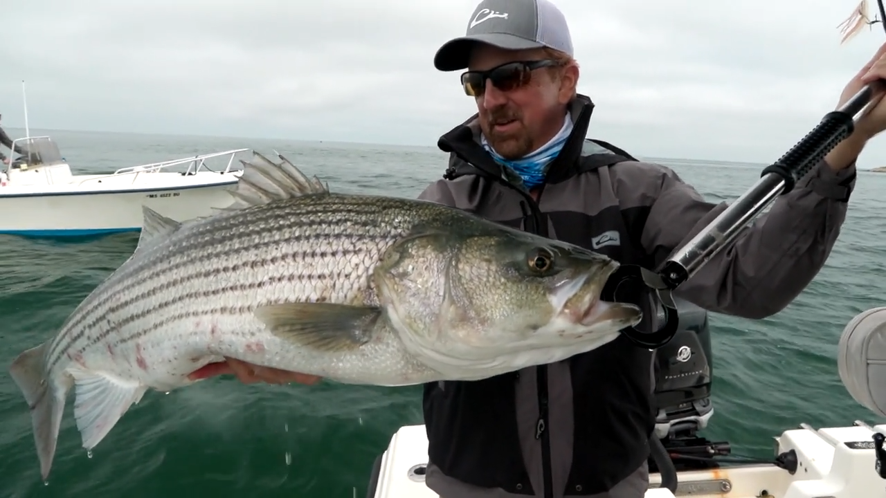 Following the Gulf Stream episode thumbnail