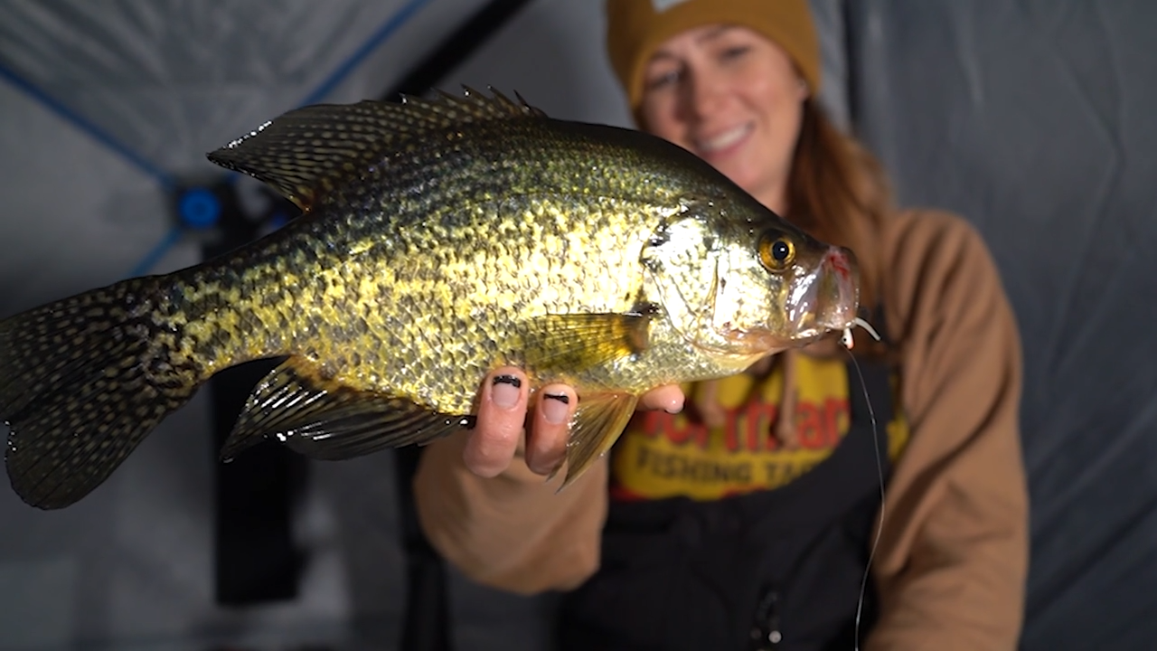 New Year's Slabs episode thumbnail