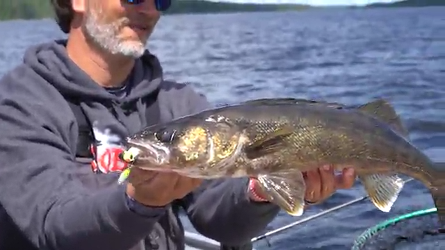 Fly-In Walleyes episode thumbnail