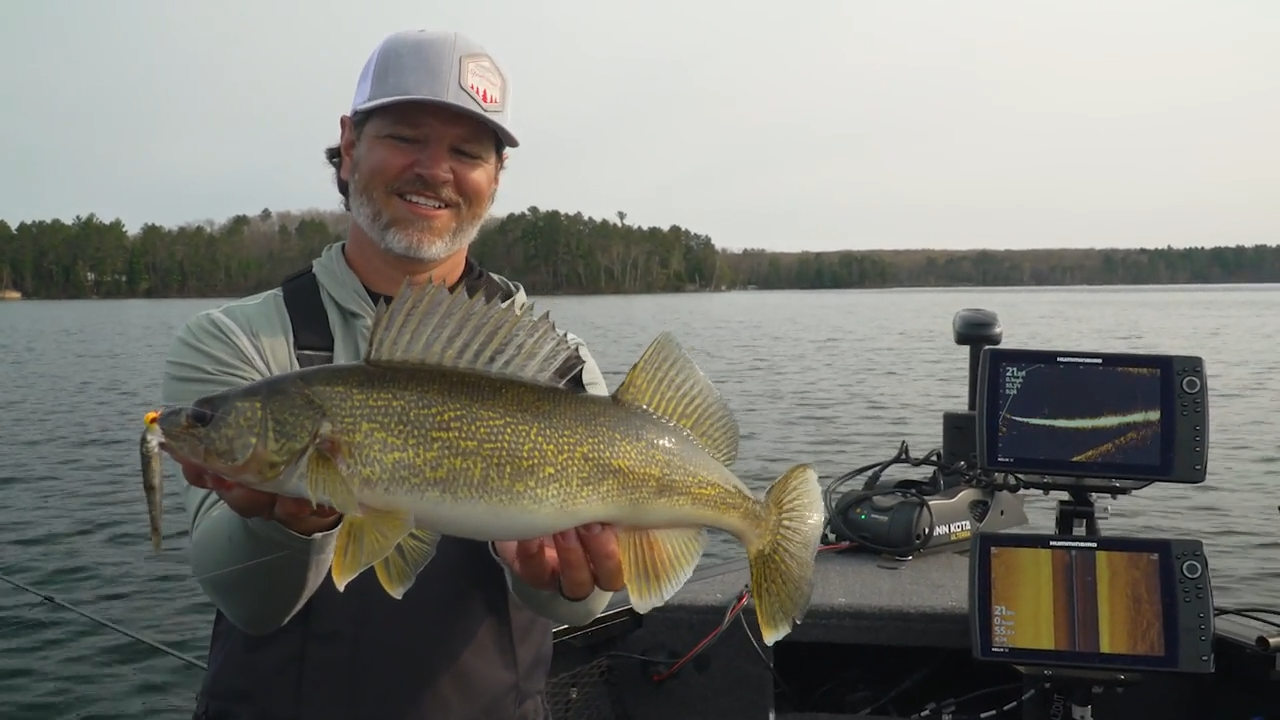 Northwoods Walleyes episode thumbnail