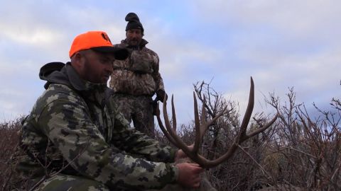 Southwest Wyoming Mule Deer episode thumbnail