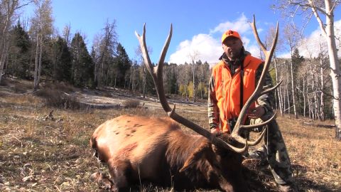 Utah Bugling Bulls episode thumbnail