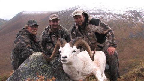 A Yukon Dall Sheep Adventure episode thumbnail