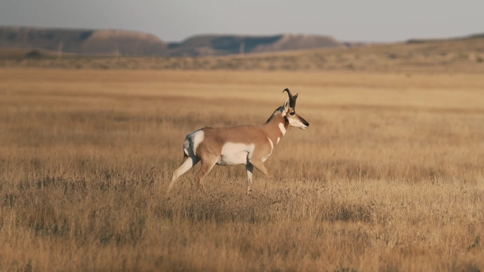 South Dakota episode thumbnail