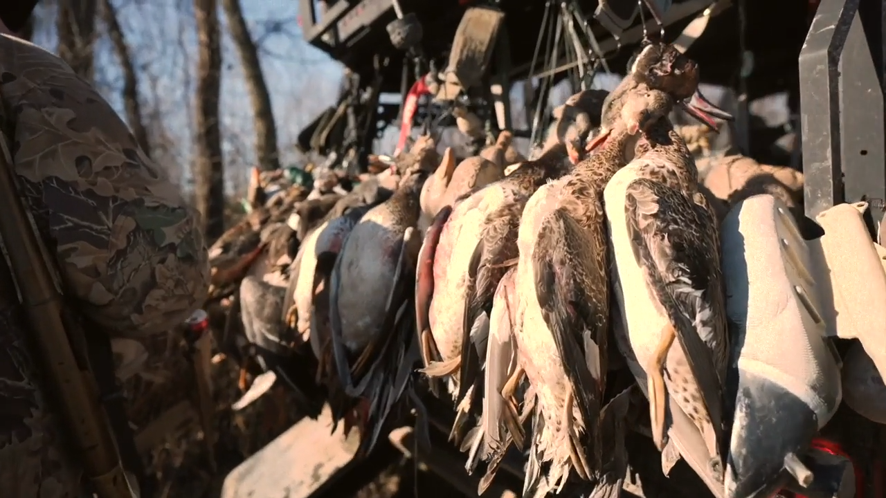Arkansas Duck Hunting episode thumbnail