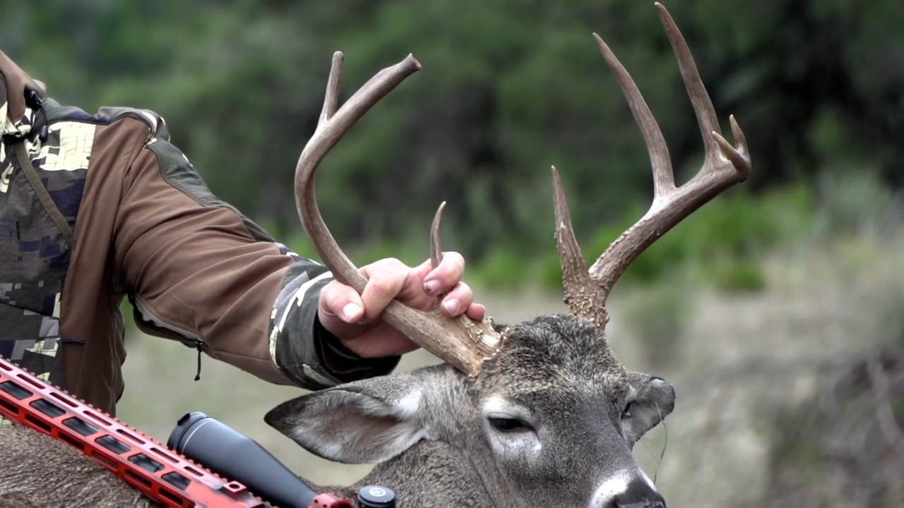 Funky Buck episode thumbnail