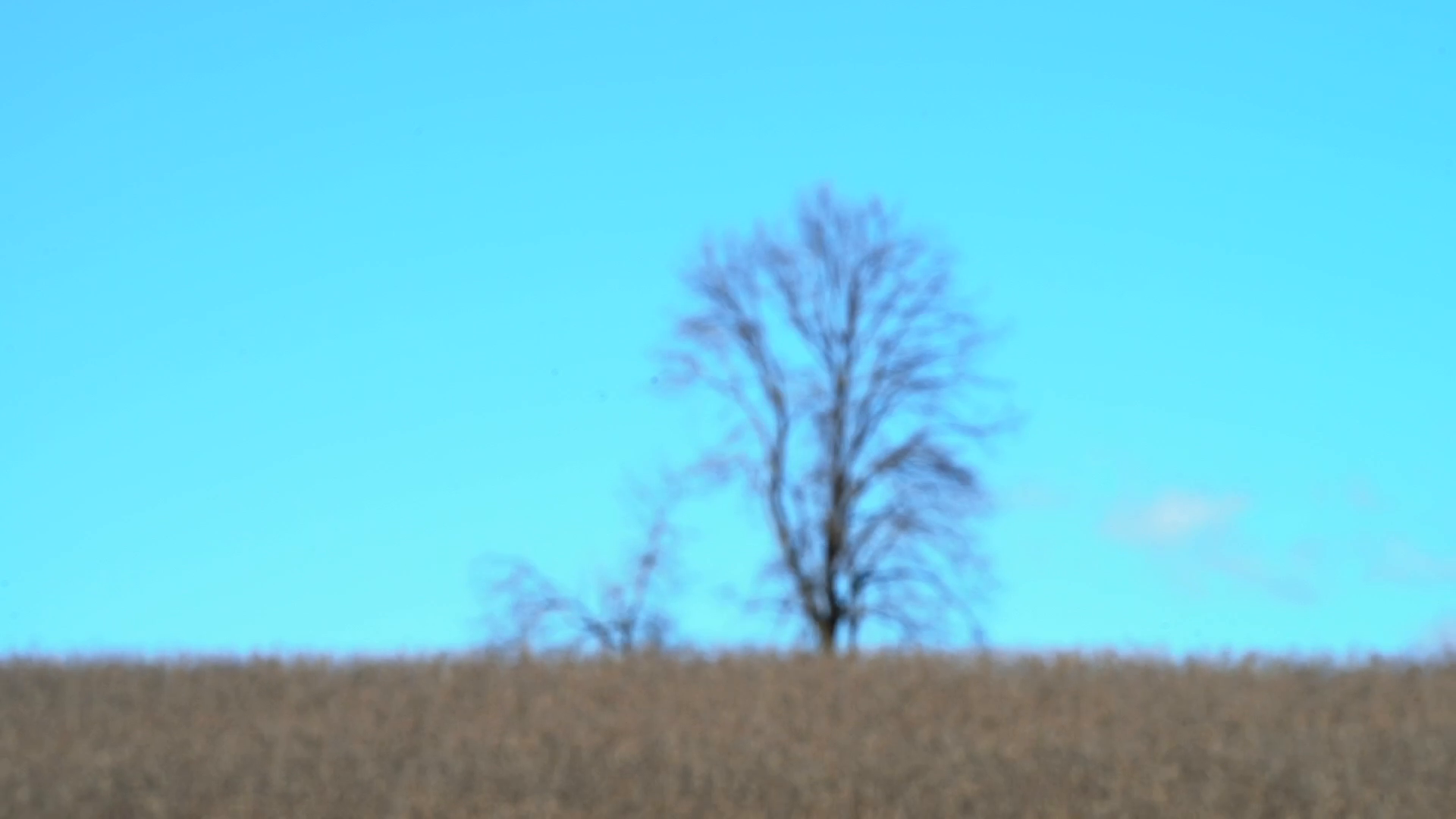 Back In The Ringer / Connections episode thumbnail