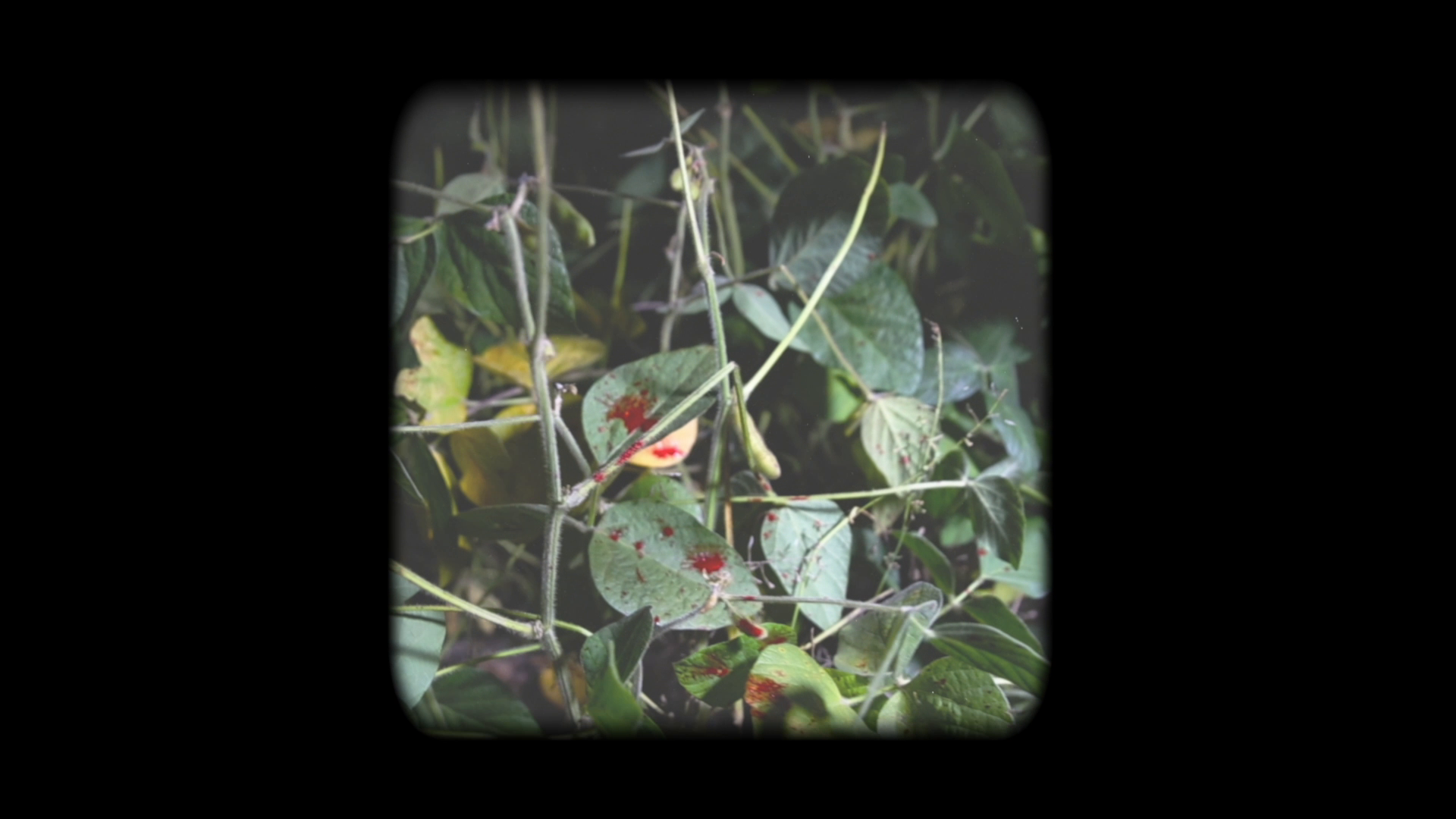 The Grind / Cold Front episode thumbnail