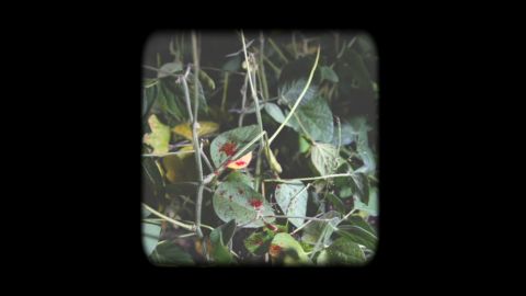 The Grind / Cold Front episode thumbnail