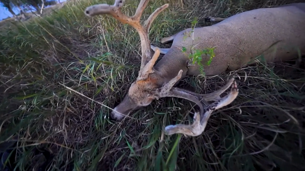 Deer Camp / Land Of Oz episode thumbnail