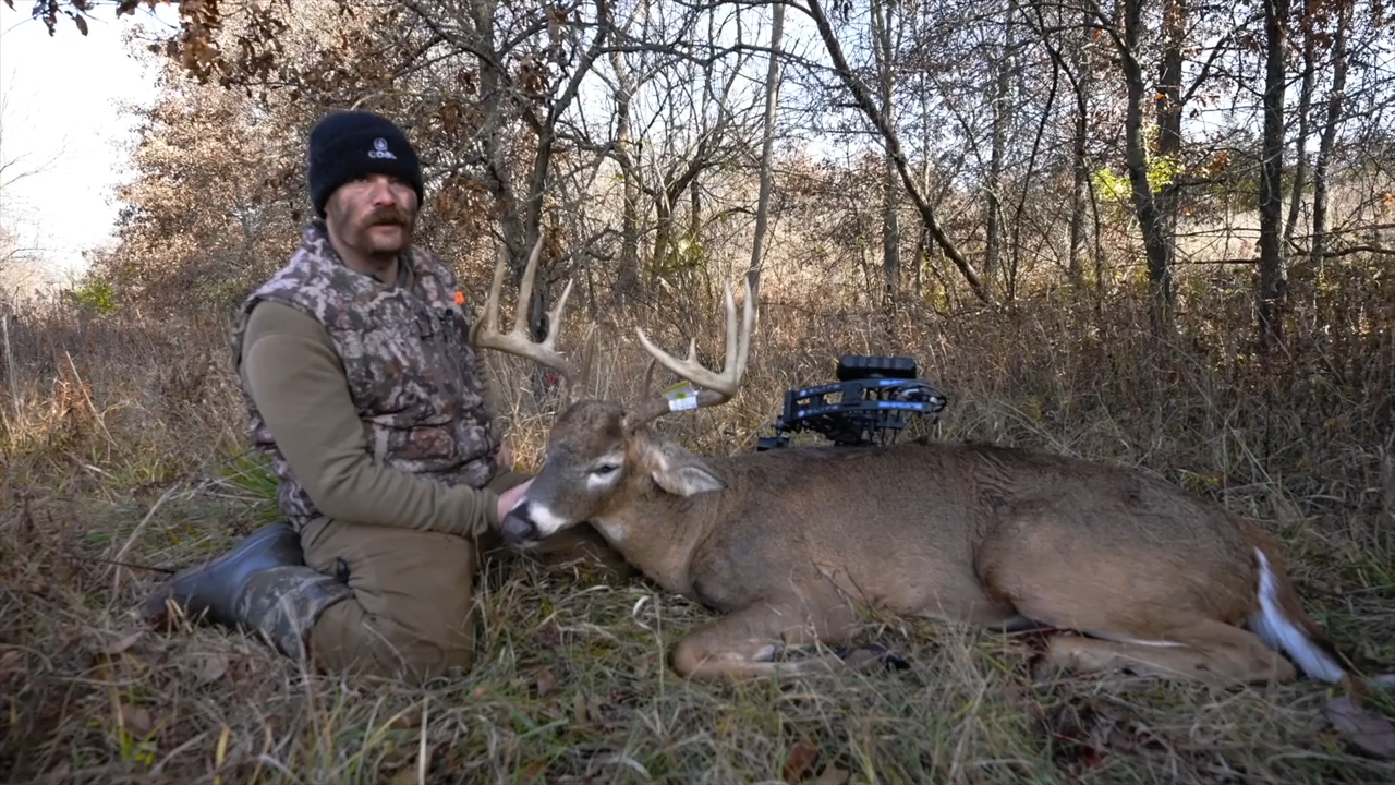 55 Days episode thumbnail