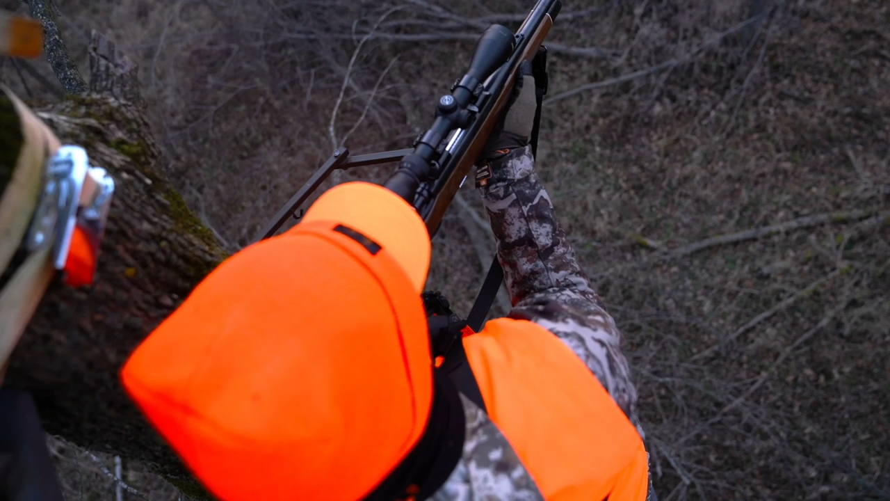 Baby Splits episode thumbnail