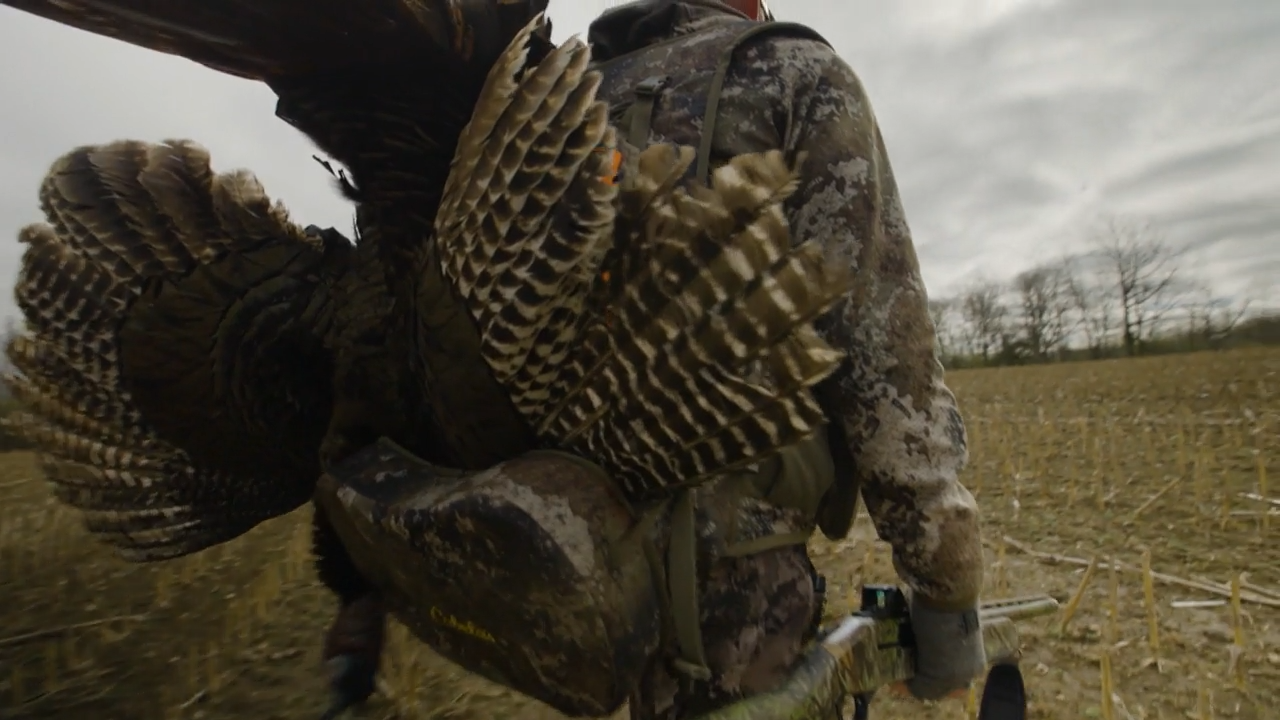 The Start - Part 2 episode thumbnail