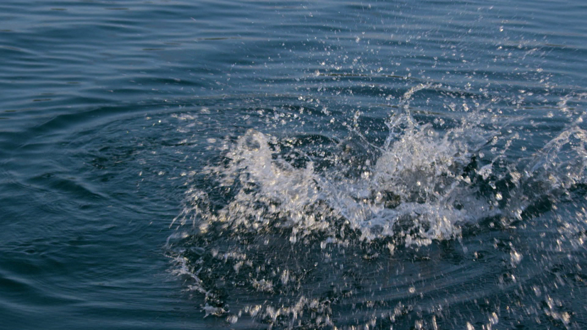 Family Fishing episode thumbnail