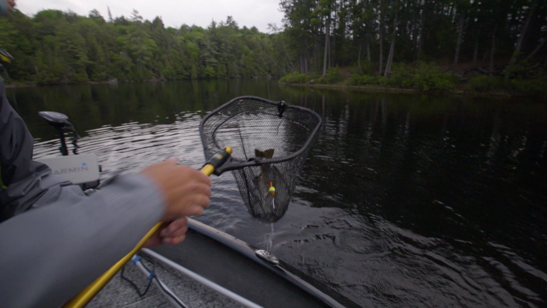 100 Years of Conservation episode thumbnail