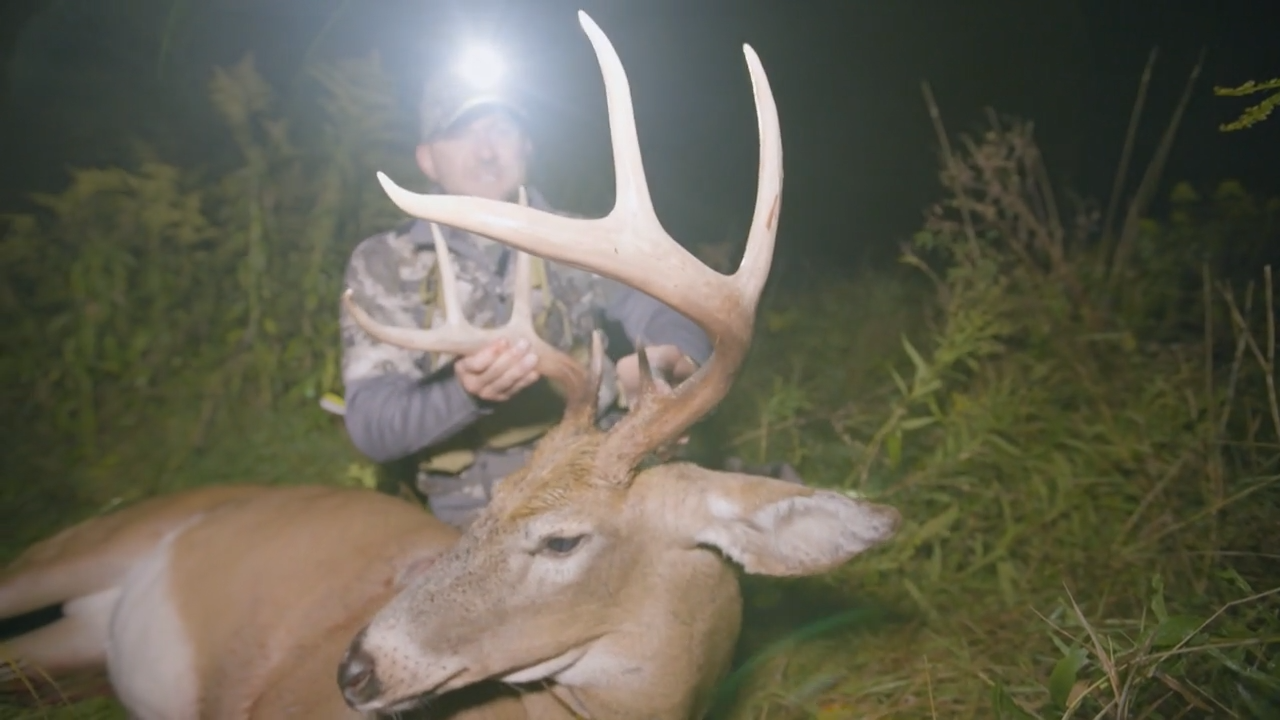 October Success episode thumbnail