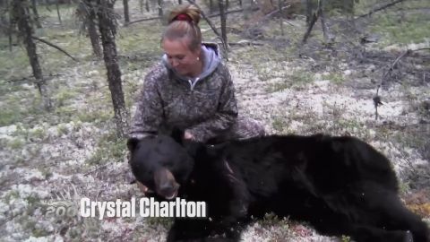 Buckeye Whitetails episode thumbnail