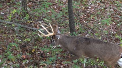 Take-em Outfitters episode thumbnail