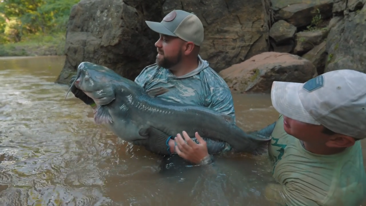 Oklahoma Catfish Noodling episode thumbnail