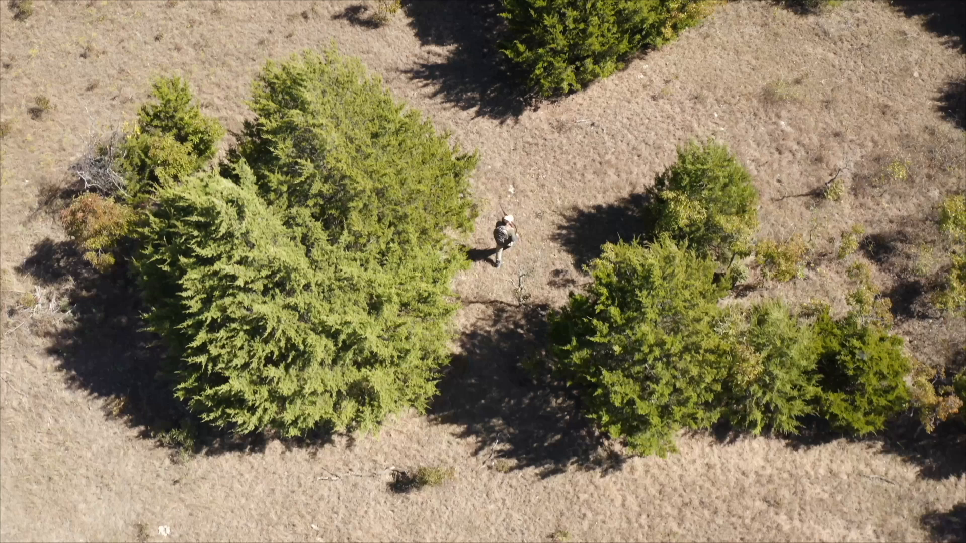 Africa - Part 2 episode thumbnail