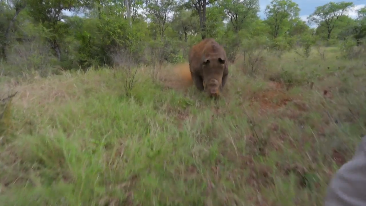 Africa - Part 3 episode thumbnail