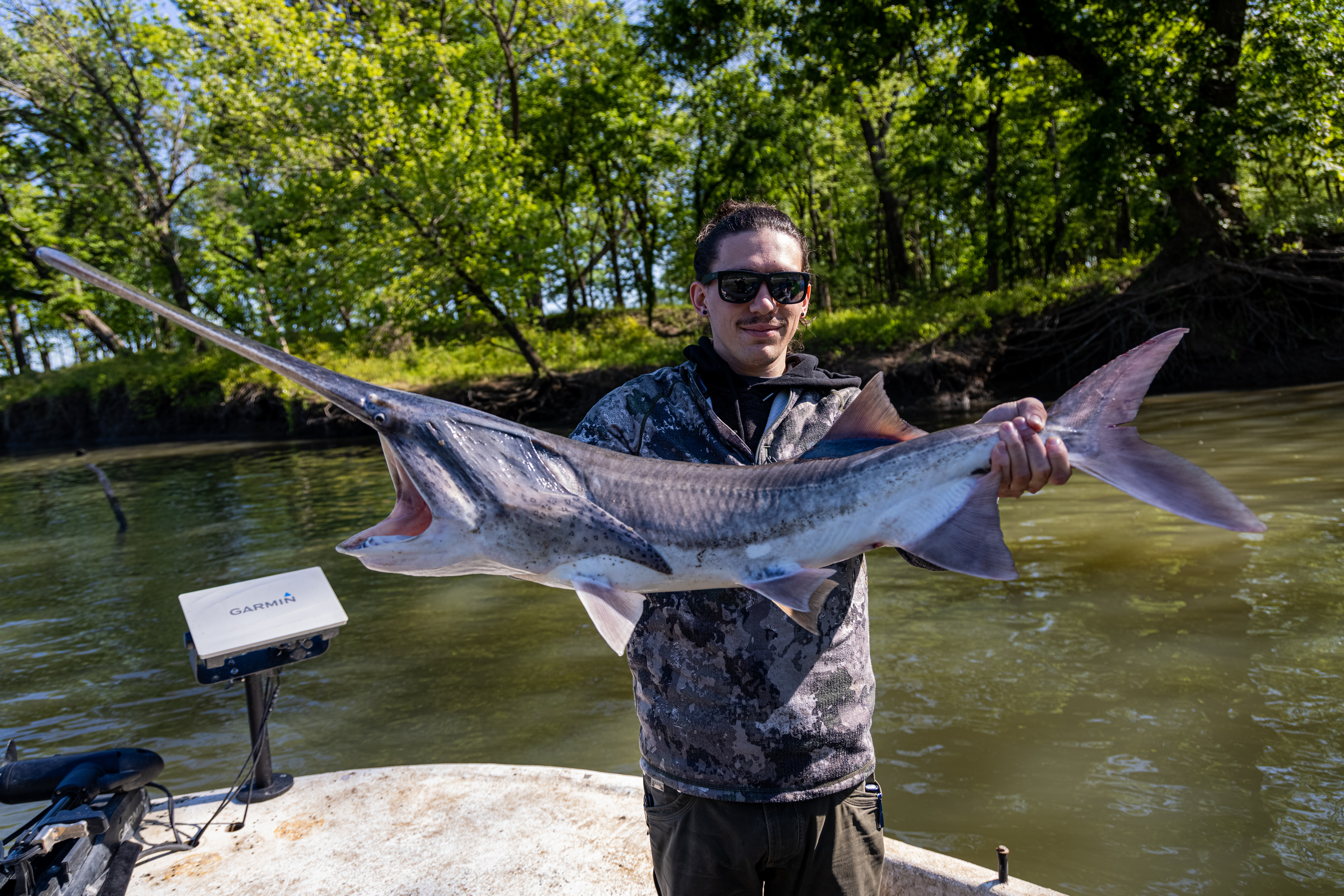 Prehistoric Paddlefish episode thumbnail