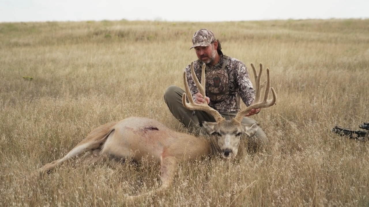 Chasing Velvet: Part 1 episode thumbnail