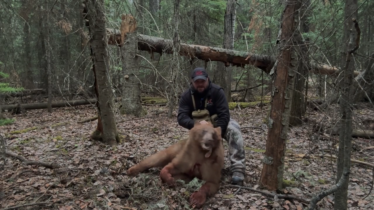 Alberta Bear Hunting episode thumbnail