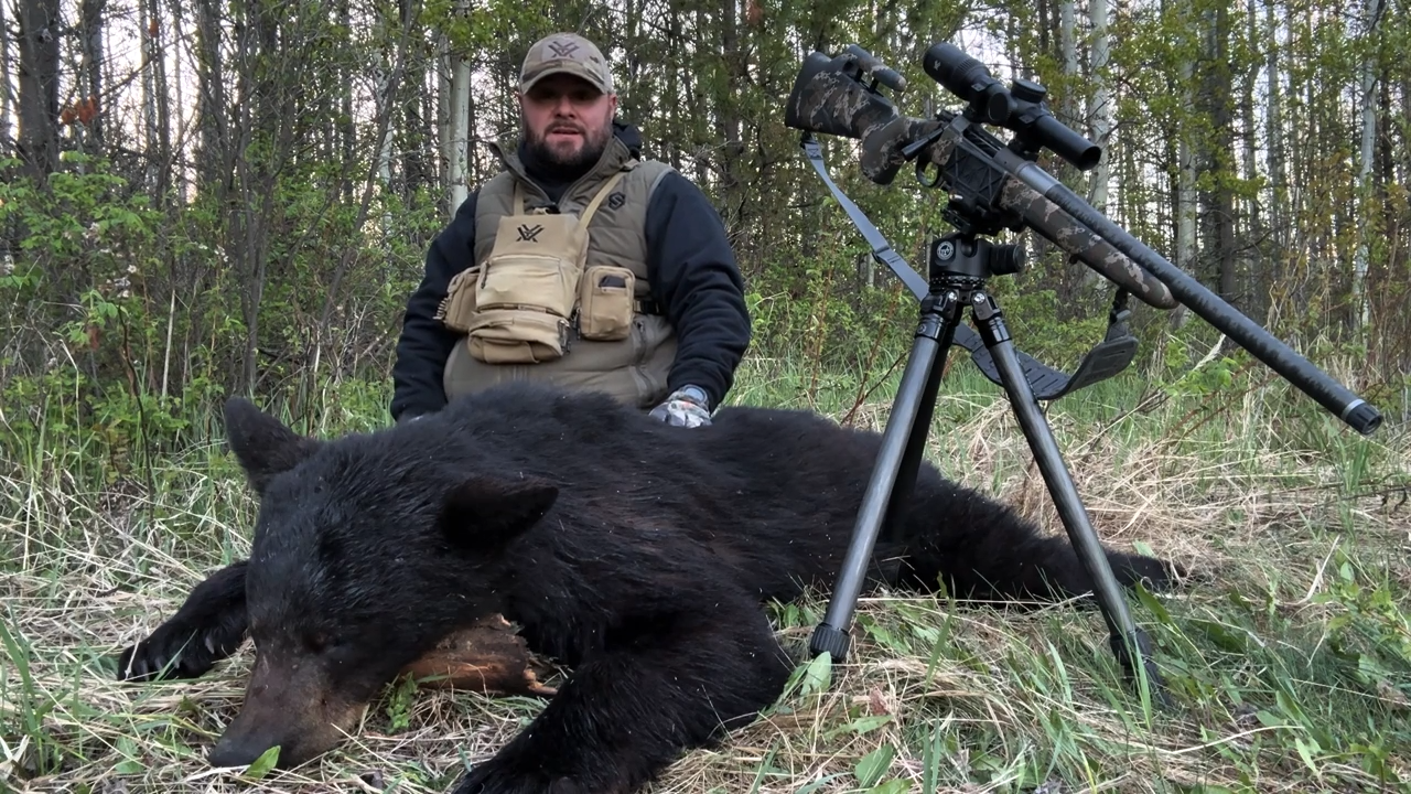 Tagged Out in Alberta episode thumbnail