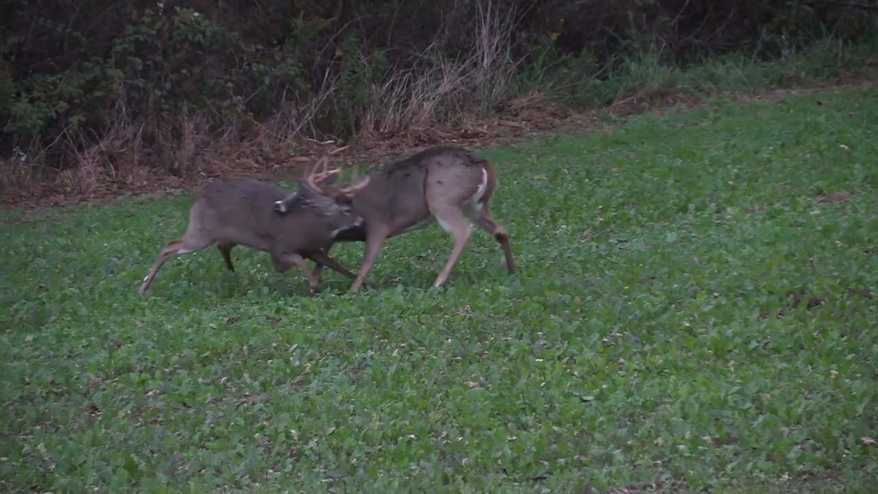 JC Outfitters of Ohio episode thumbnail