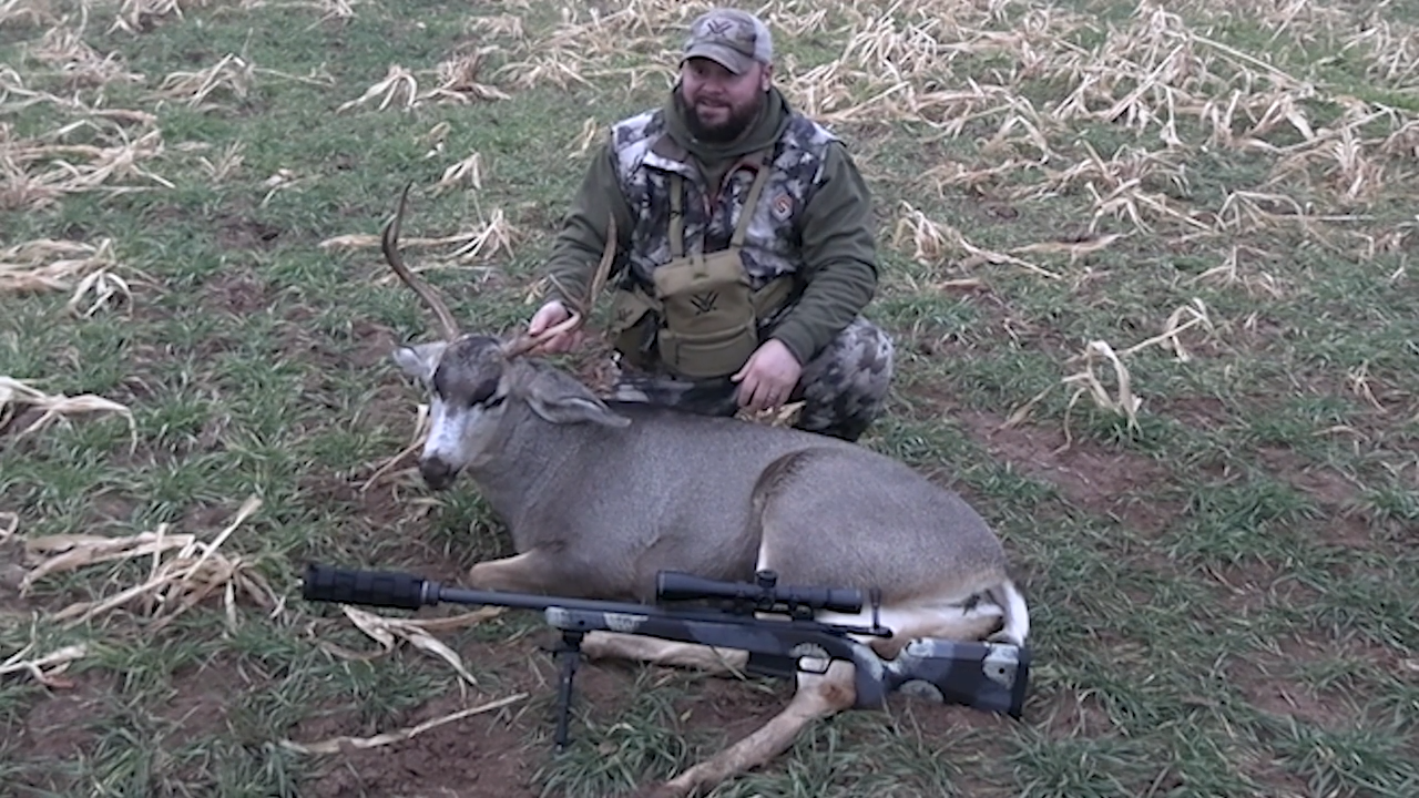 Mule Deer episode thumbnail