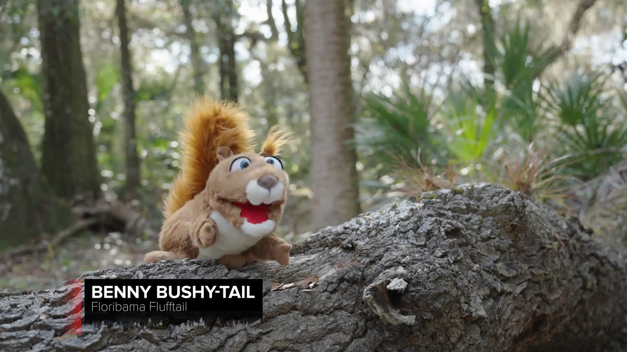 GAMOs Squirrel Master Challenge 25 episode thumbnail