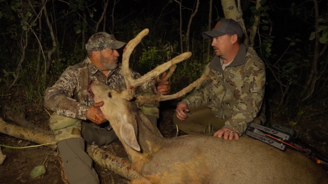 We Bowhunted Management Velvet Mule Deer in Utah! episode thumbnail