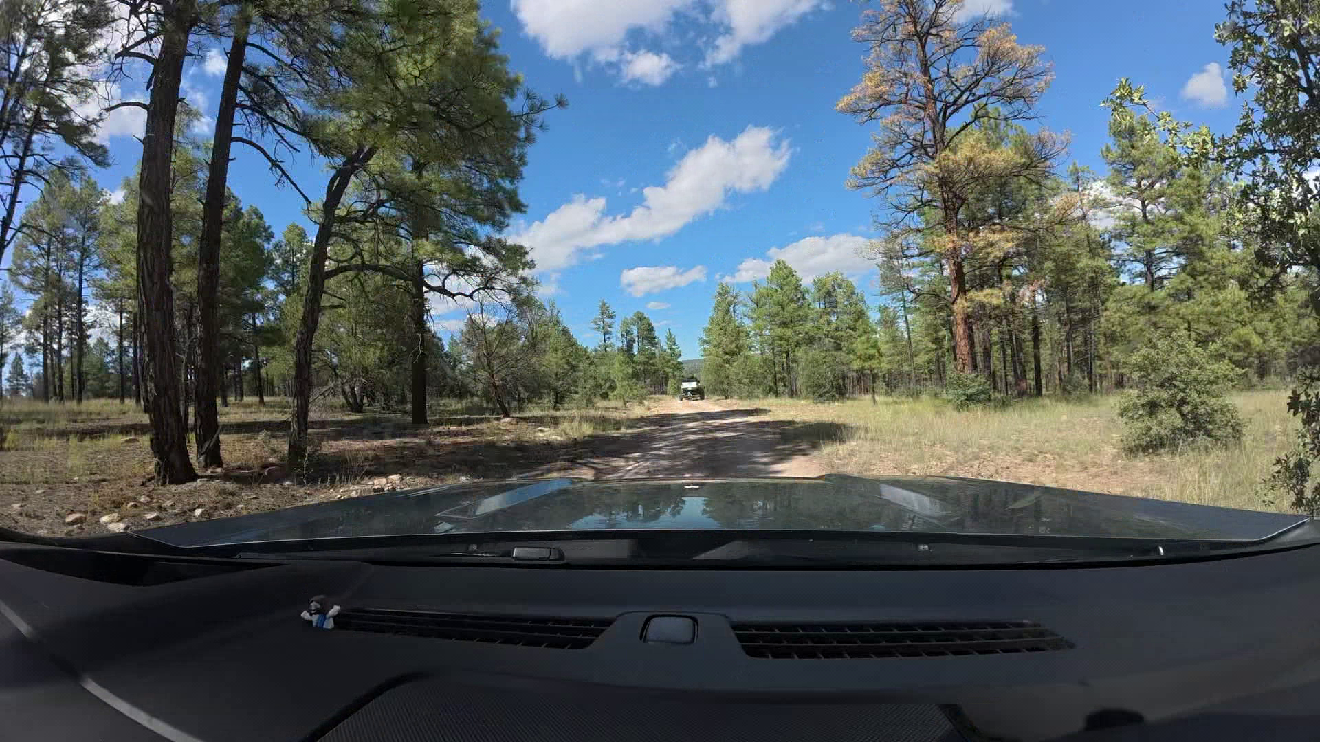 Archery Elk Hunting on the Gila Wilderness in New Mexico episode thumbnail