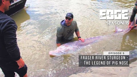 Fraser River Sturgeon - The Legend of Pig Nose episode thumbnail