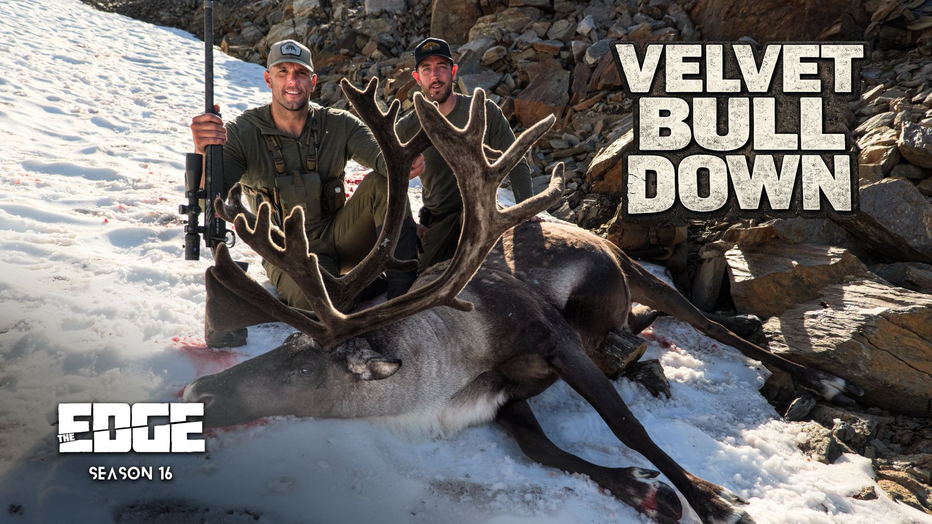 Velvet Mountain Caribou episode thumbnail