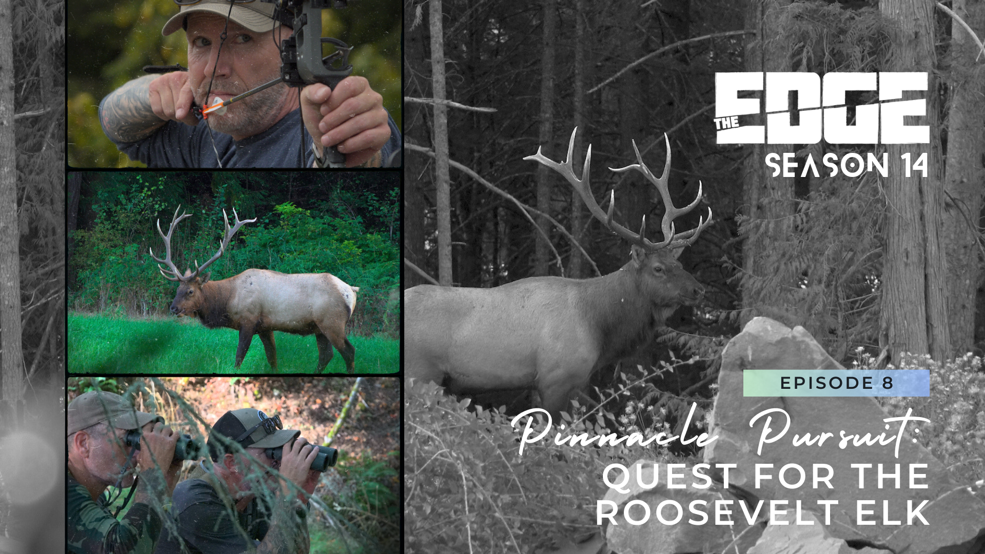 Pinnacle Pursuit: Quest for the Roosevelt Elk episode thumbnail