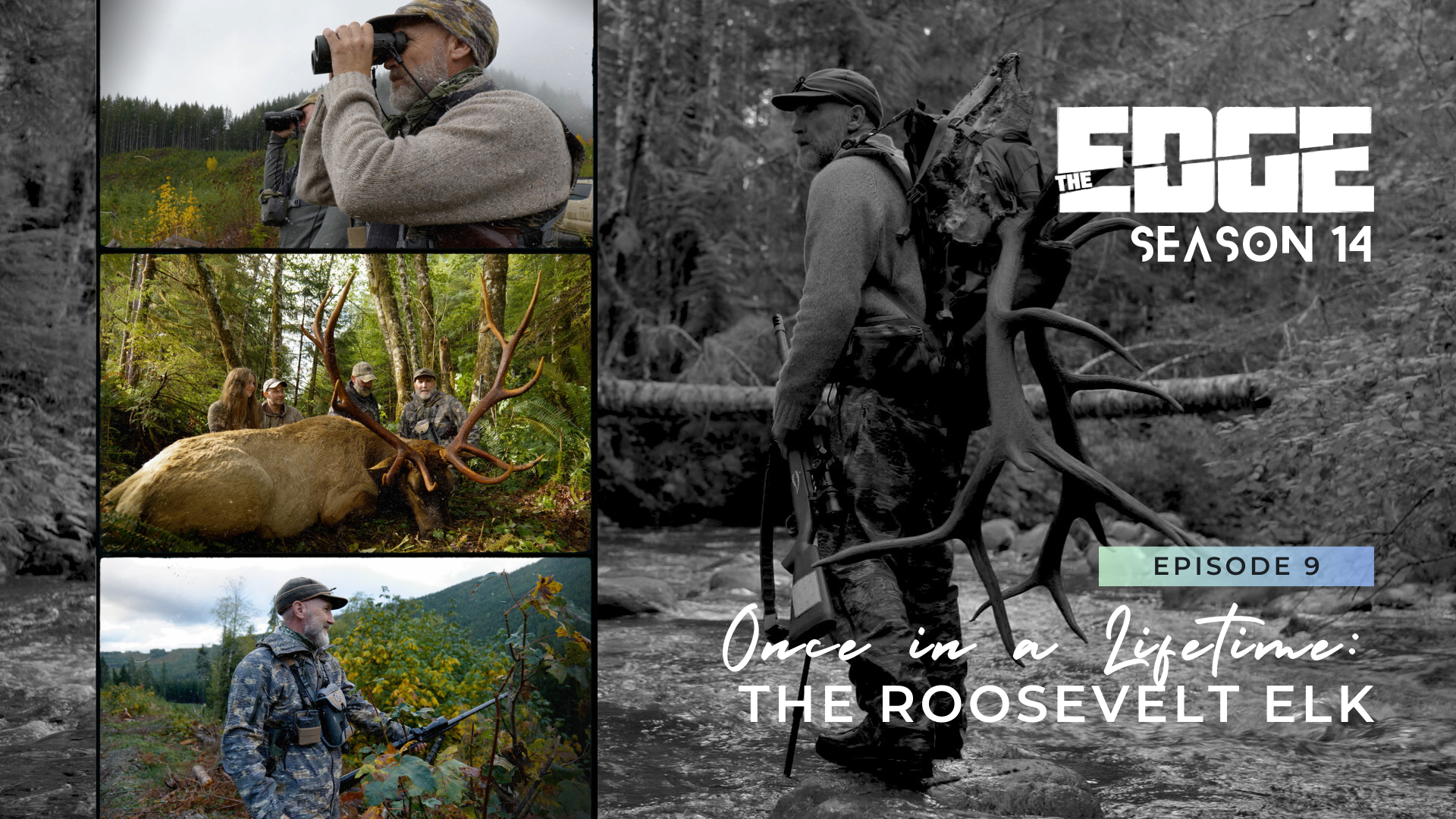 Once in a Lifetime: The Roosevelt Elk episode thumbnail
