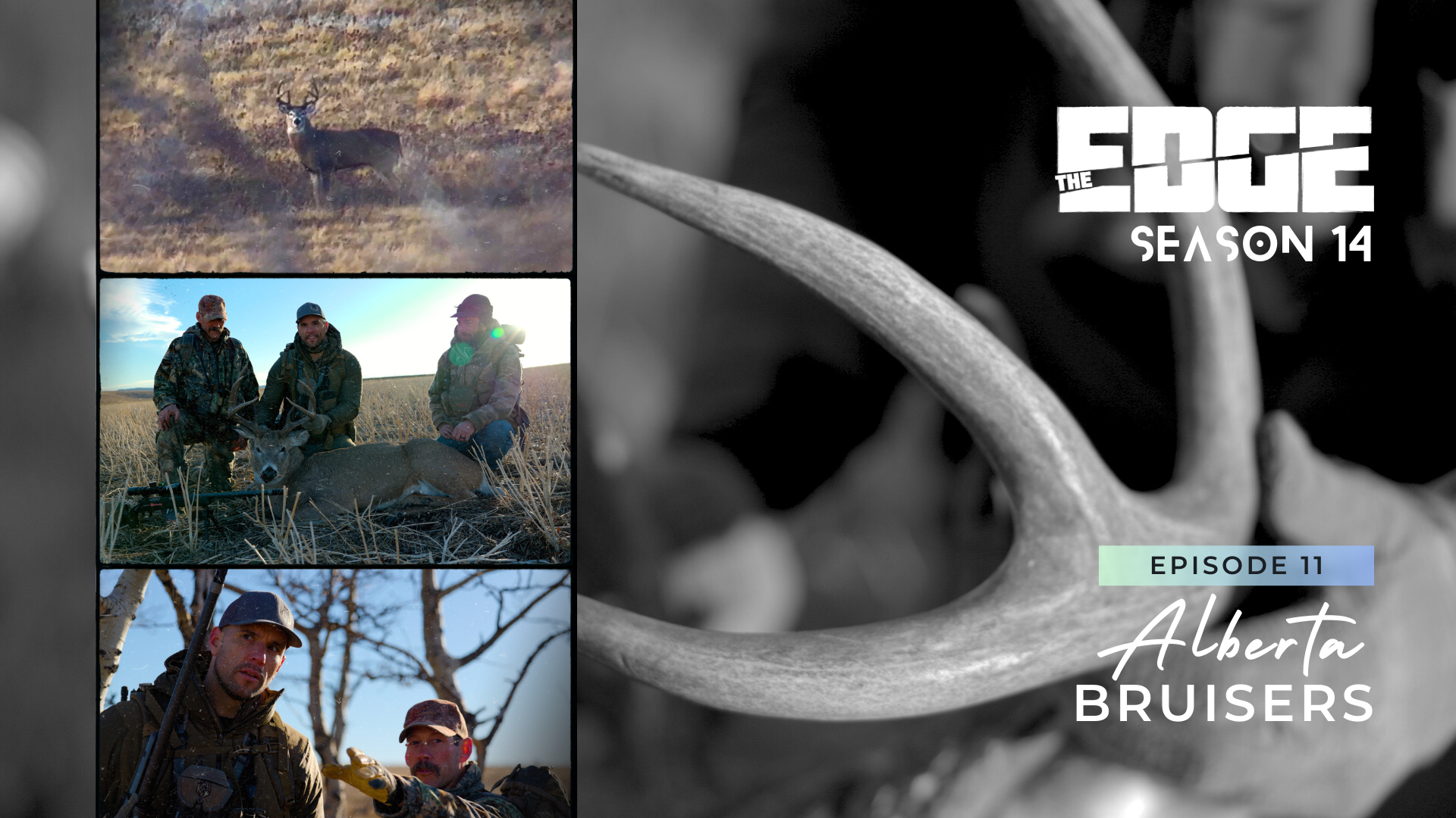 Alberta Bruisers episode thumbnail