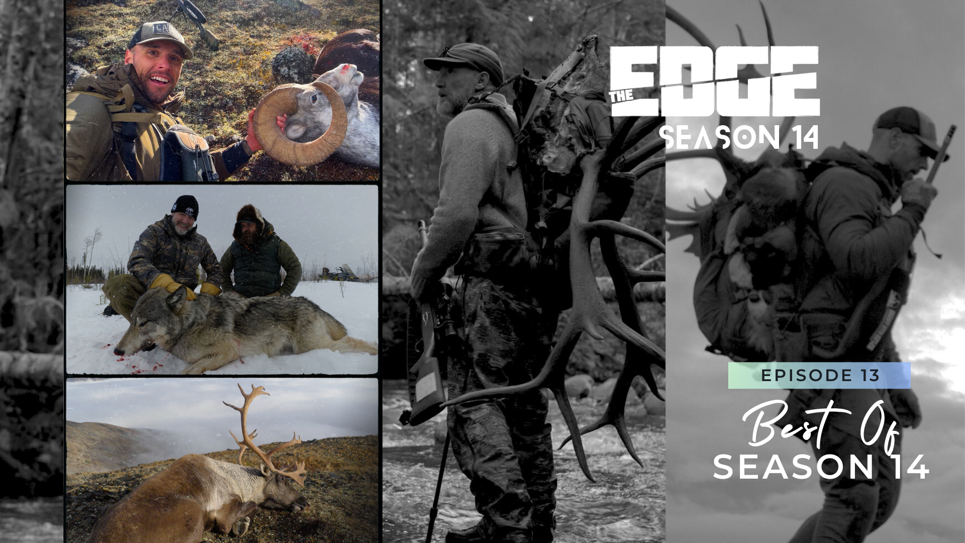 Best Of Season 14 episode thumbnail