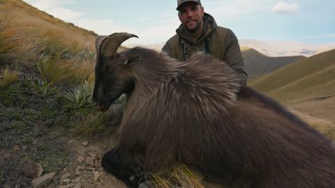 Legends of the Wild episode thumbnail
