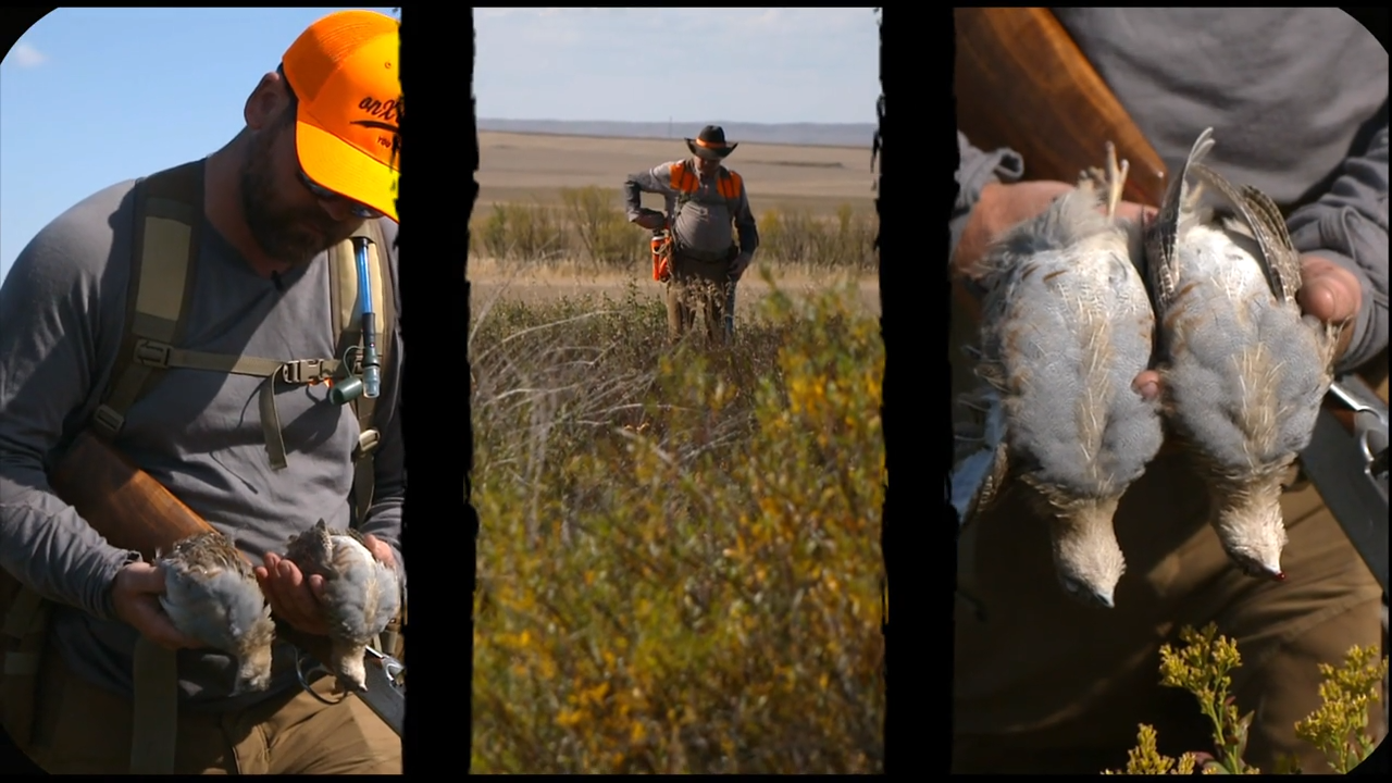 Alberta Huns & Fowl episode thumbnail