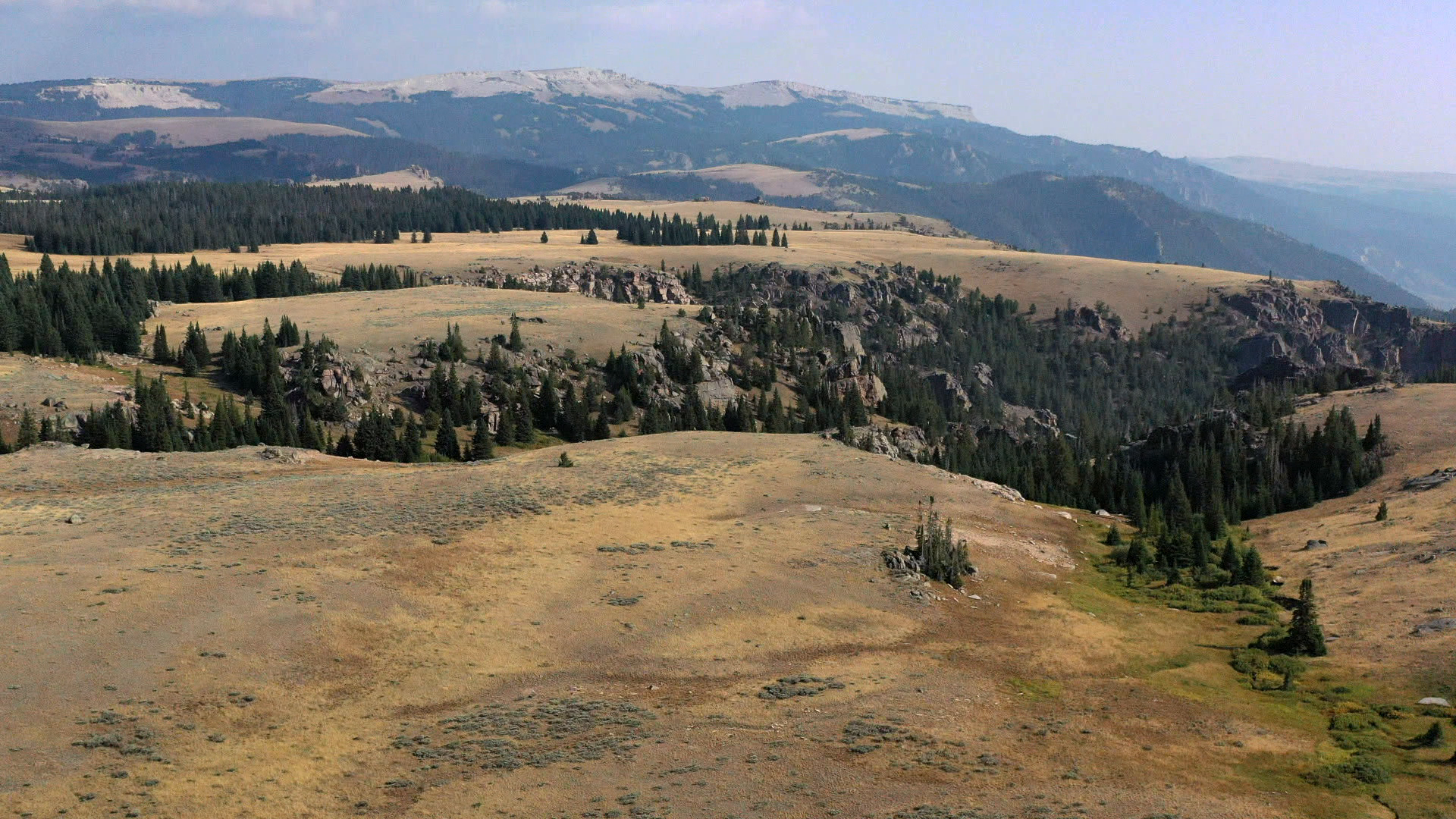 Wyoming Blues episode thumbnail