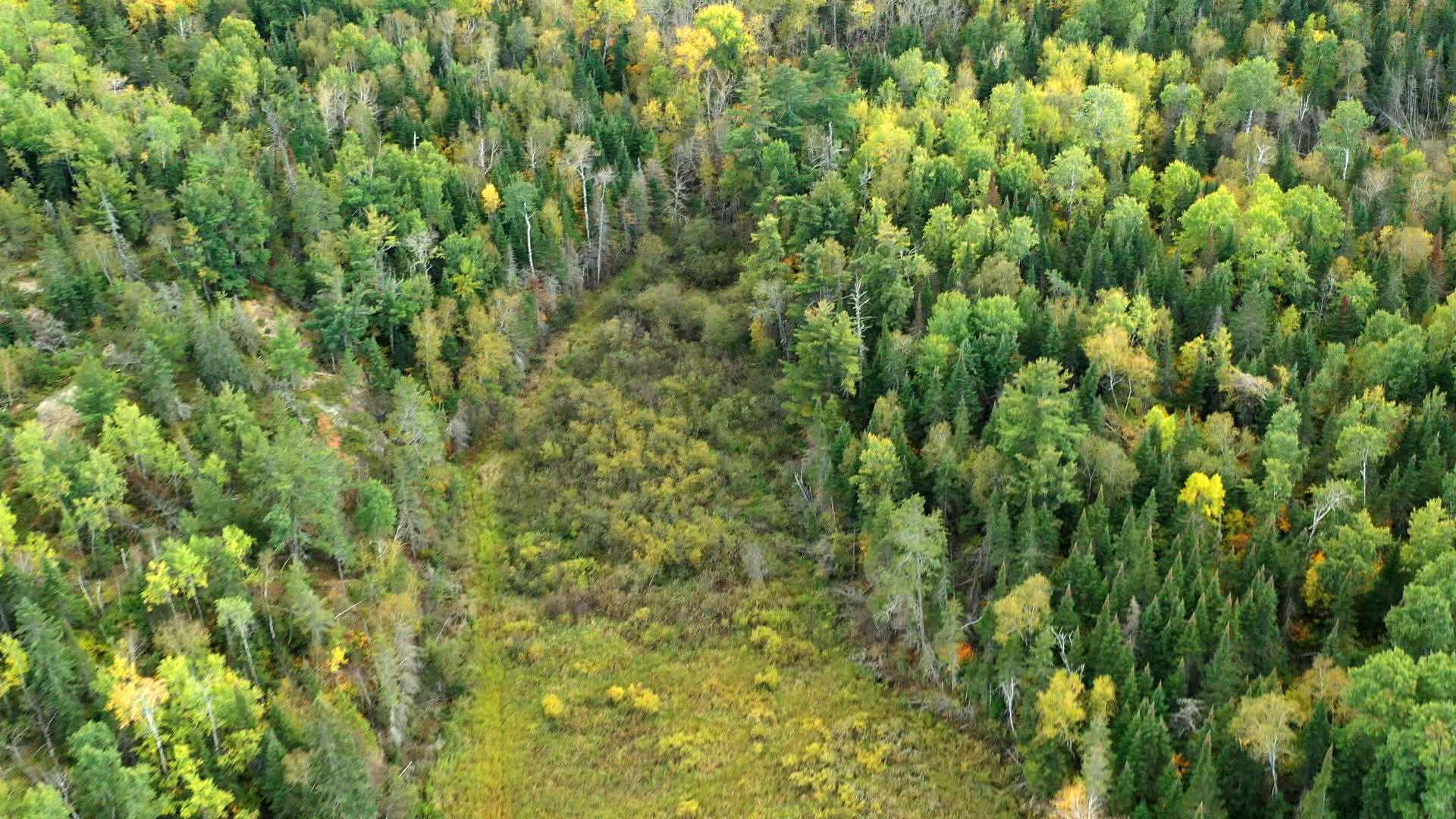 Sunset Island Grouse Camp episode thumbnail