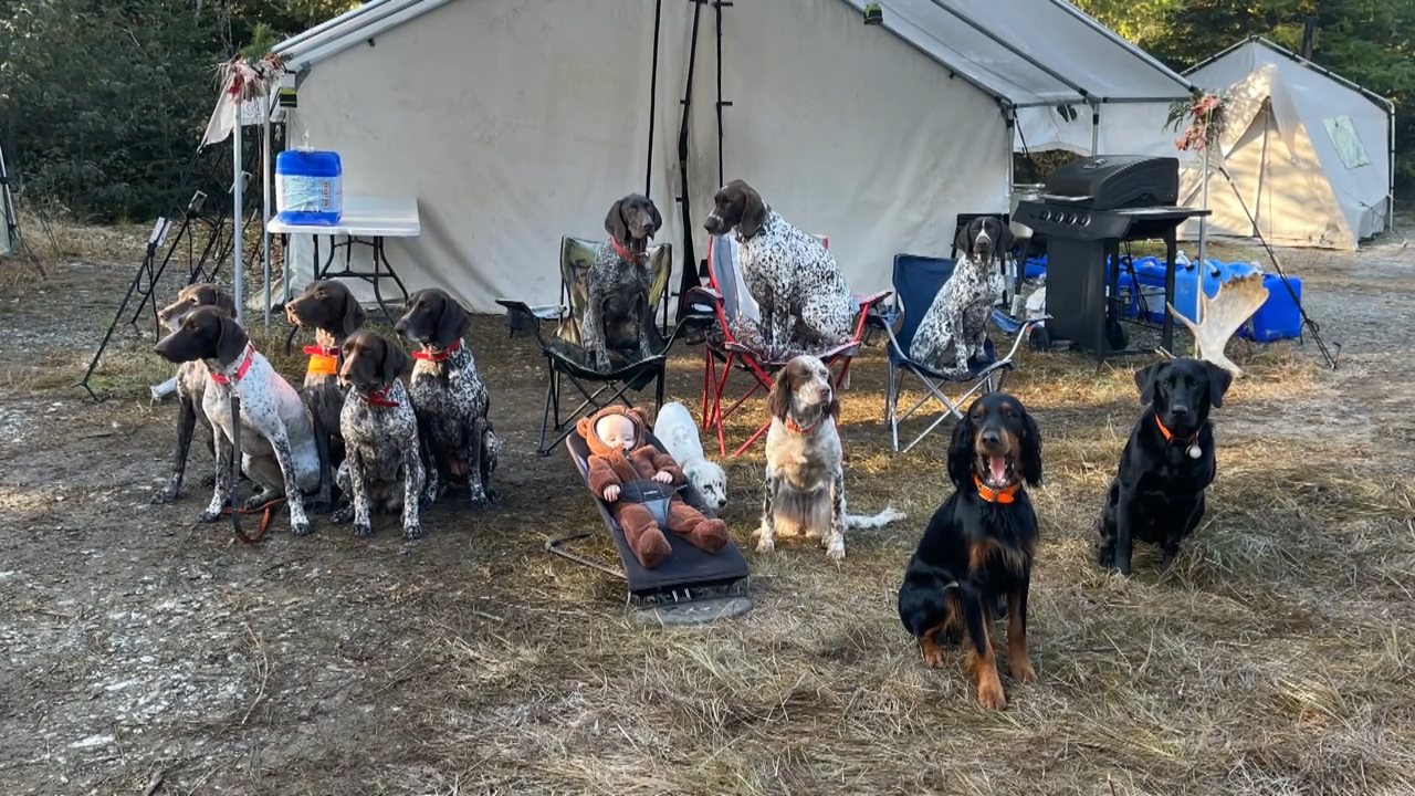 Maine Grouse Camp episode thumbnail