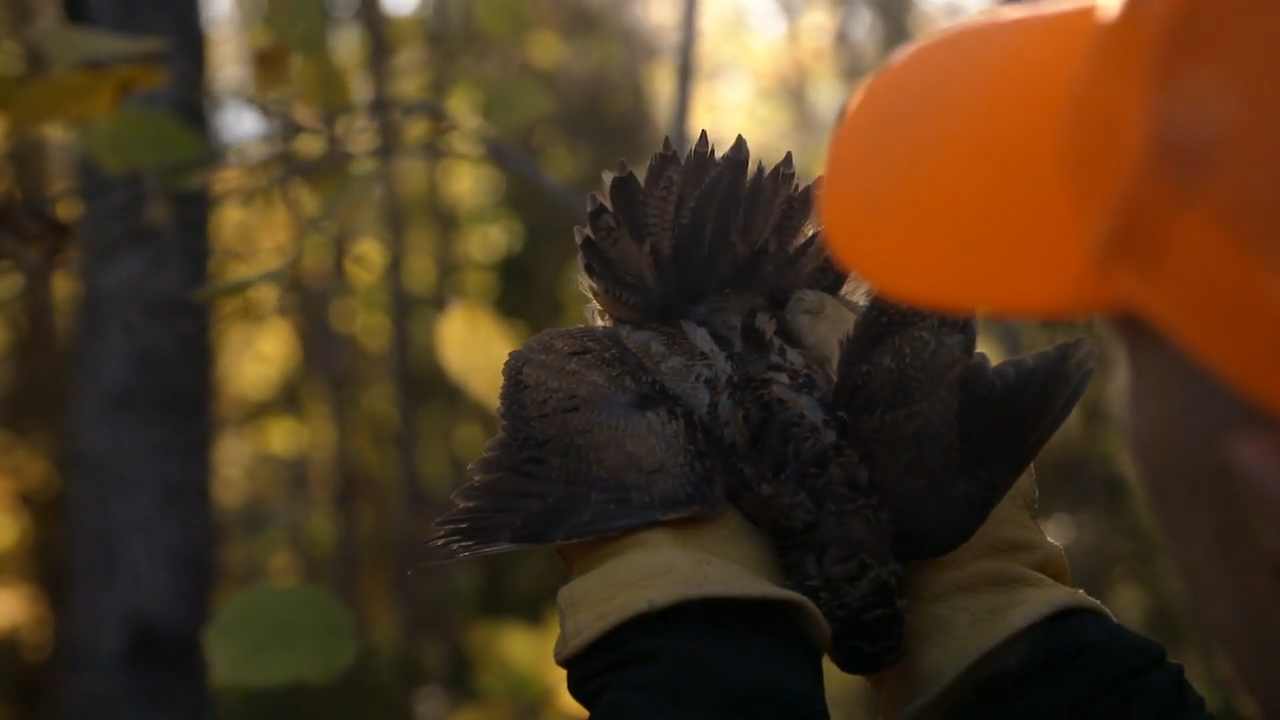 Church Grouse Camp episode thumbnail