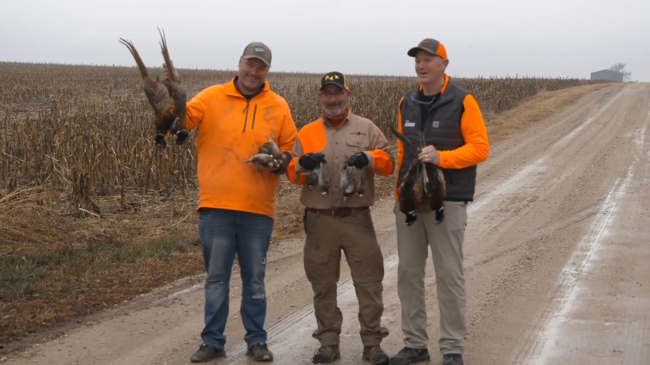 Kansas Quail episode thumbnail